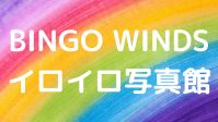 BINGO WINDS イロイロ写真館